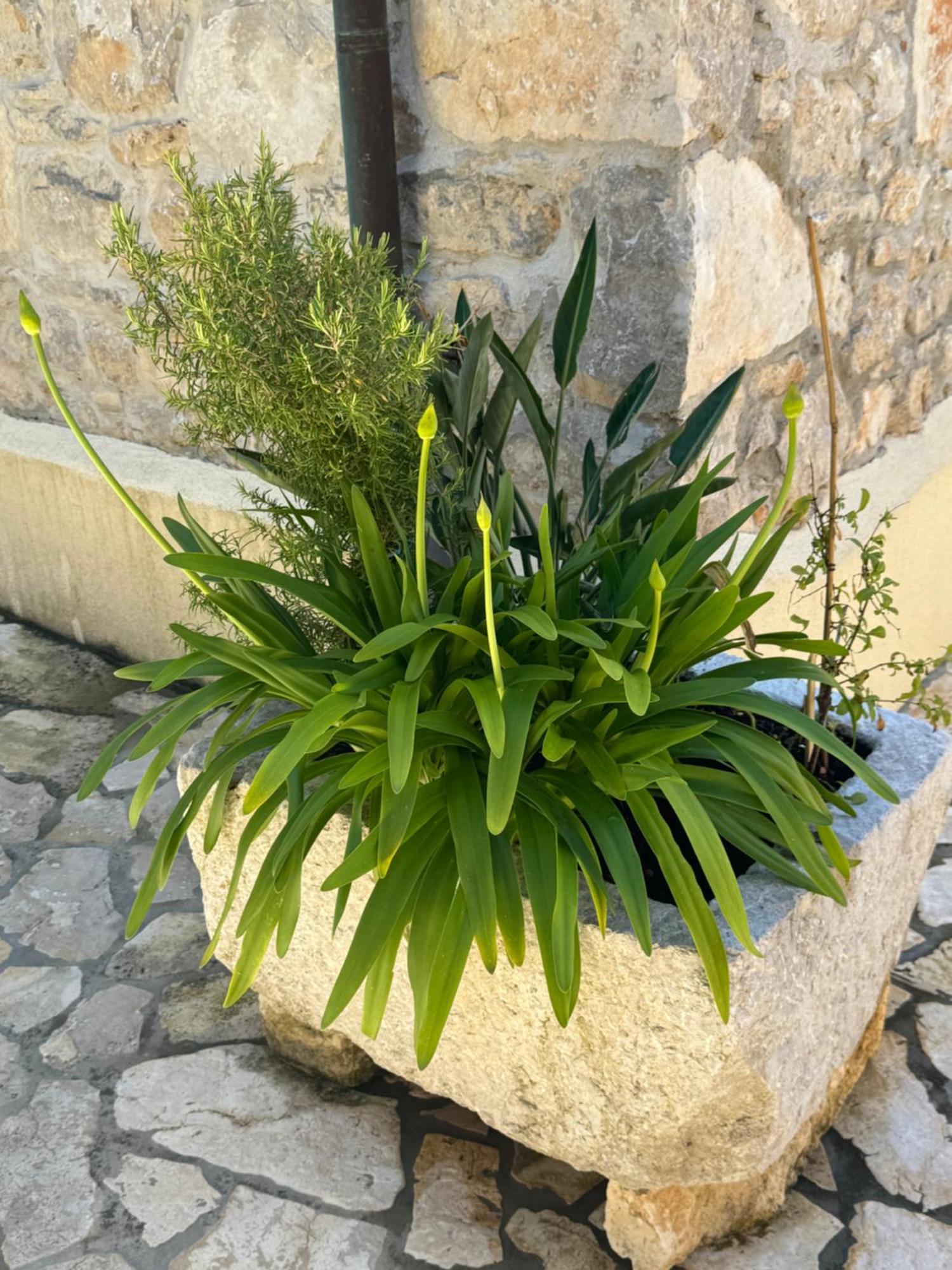 Mediterranes Ferienhaus M. Terrasse Veli Losinj Exterior photo